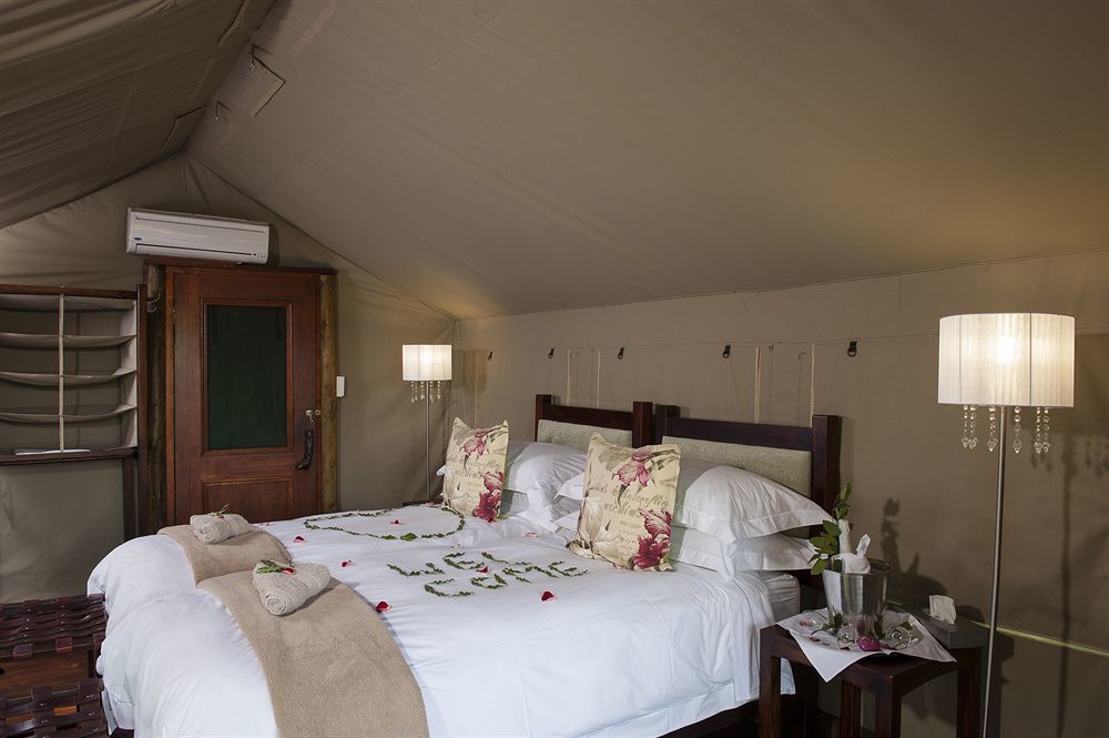 שמורת הציד טימבאבאטי Simbavati River Lodge מראה חיצוני תמונה